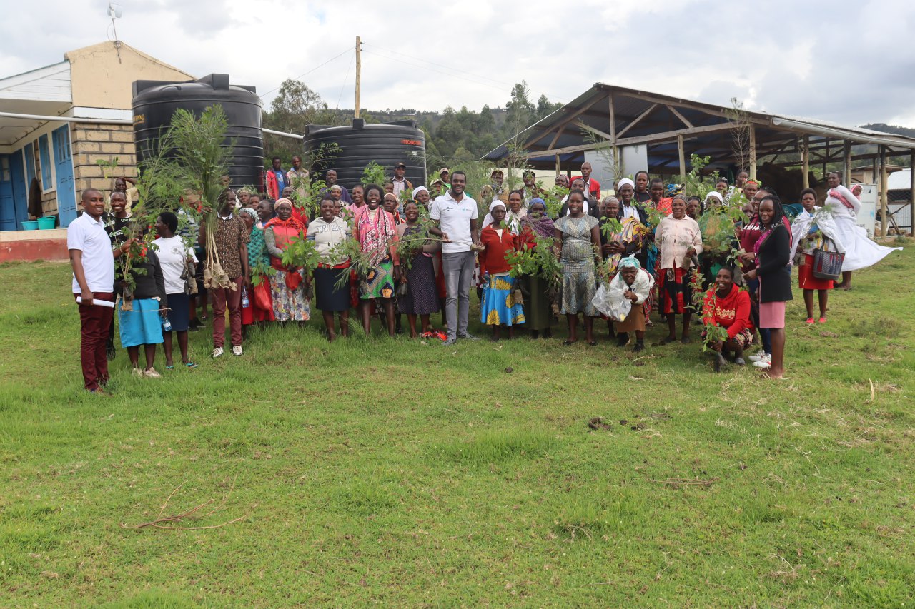 A year of entrepreneurship, community, and sustainable development in Cheboin